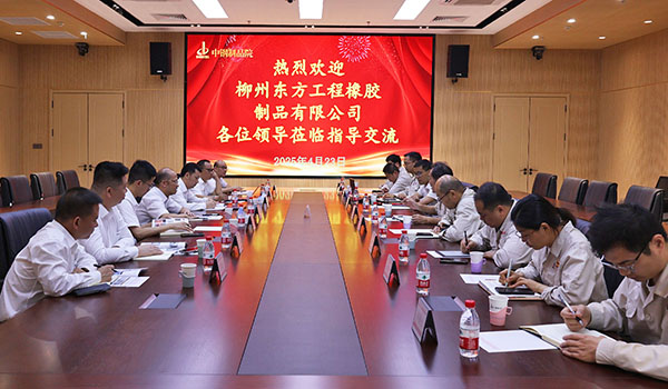 增互信，創(chuàng)共贏|柳州東方工程橡膠制品有限公司至中鋼國(guó)檢考察交流